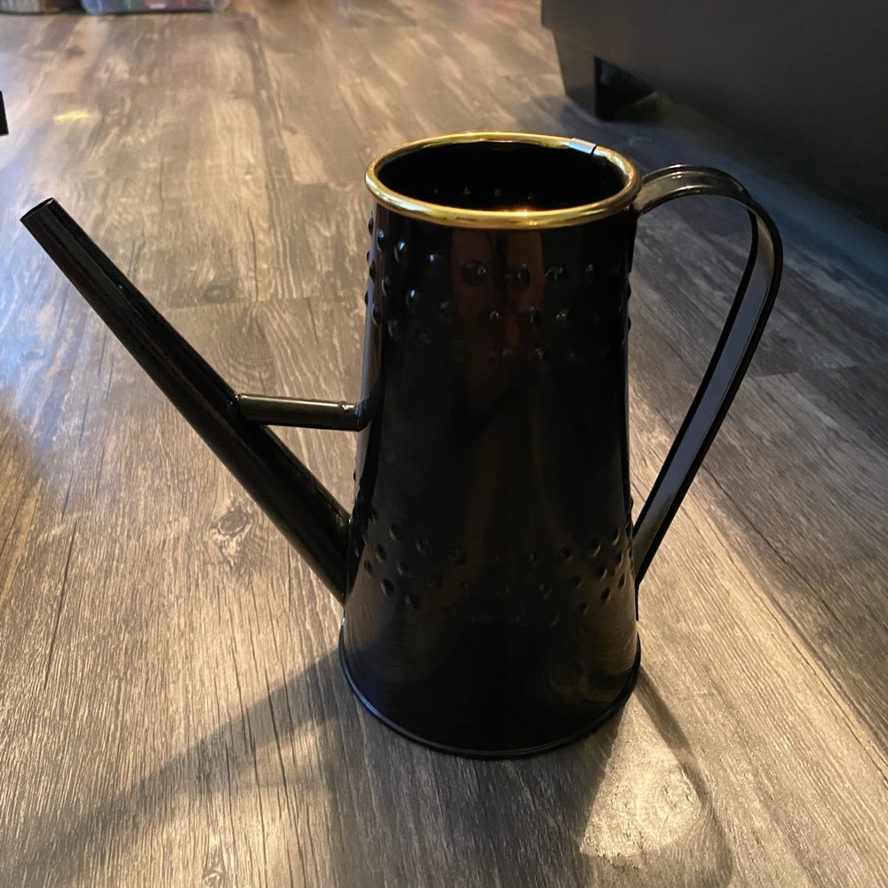 Decorative watering can